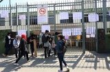 articulo relacionado