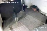 articulo relacionado