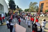articulo relacionado