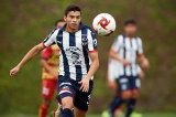 articulo relacionado