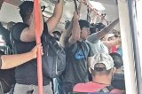 articulo relacionado