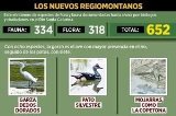 articulo relacionado