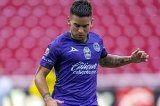 articulo relacionado