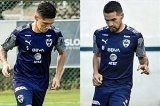 articulo relacionado
