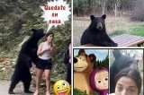 articulo relacionado